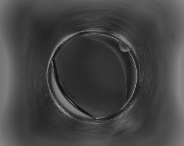 X0000085781037200703231241