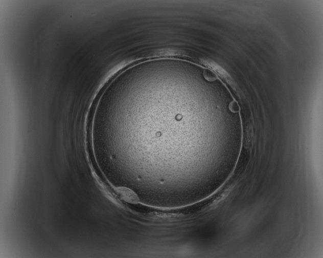 X0000085781039200703231241