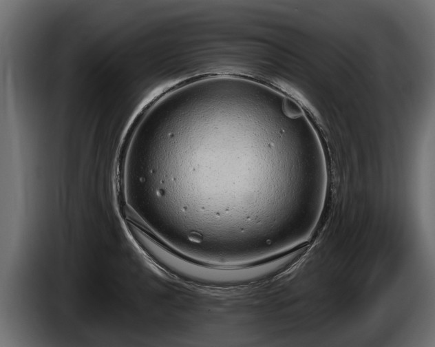 X0000085781040200703231241