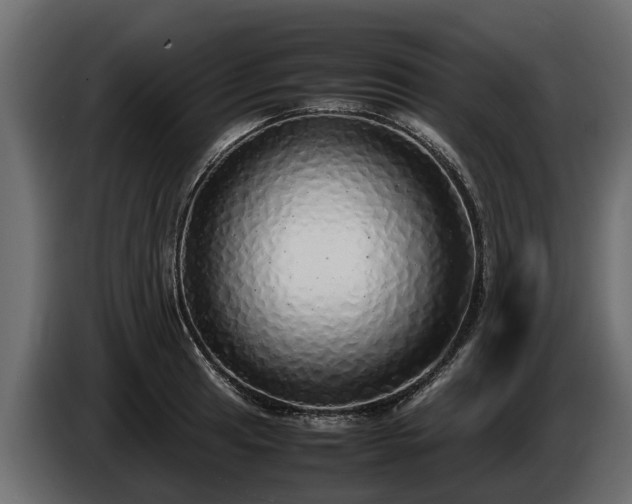 X0000085781041200703231241