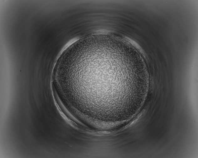 X0000085781042200703231241