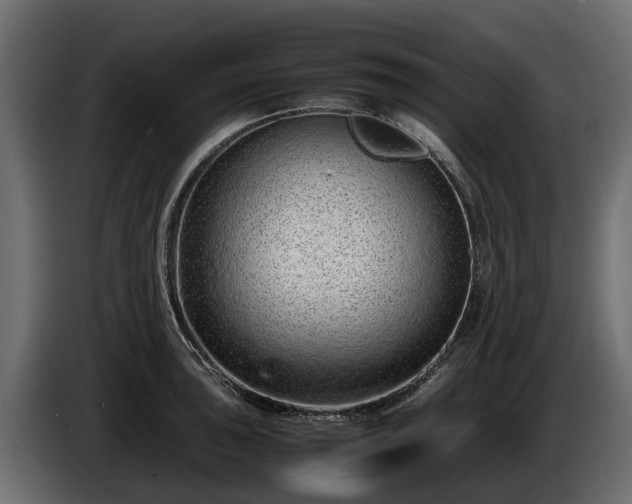 X0000085781043200703231241