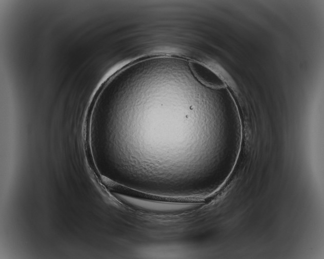 X0000085781044200703231241