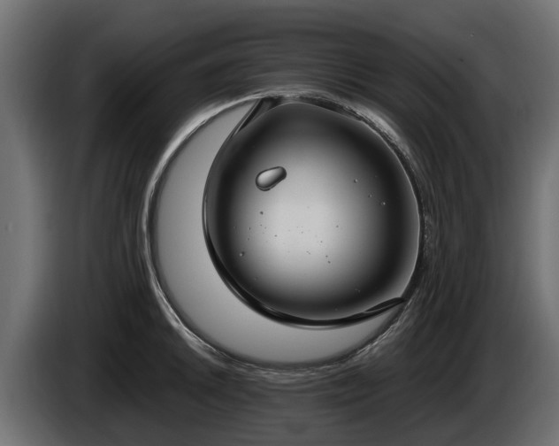 X0000085781046200703231241