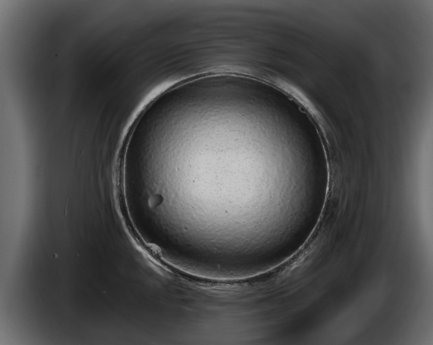 X0000085781048200703231241