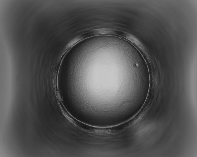 X0000085781049200703231241