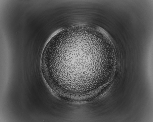 X0000085781050200703231241