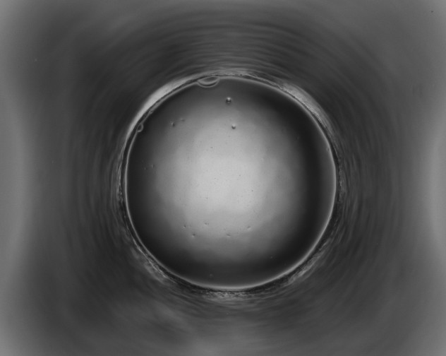 X0000085781052200703231241