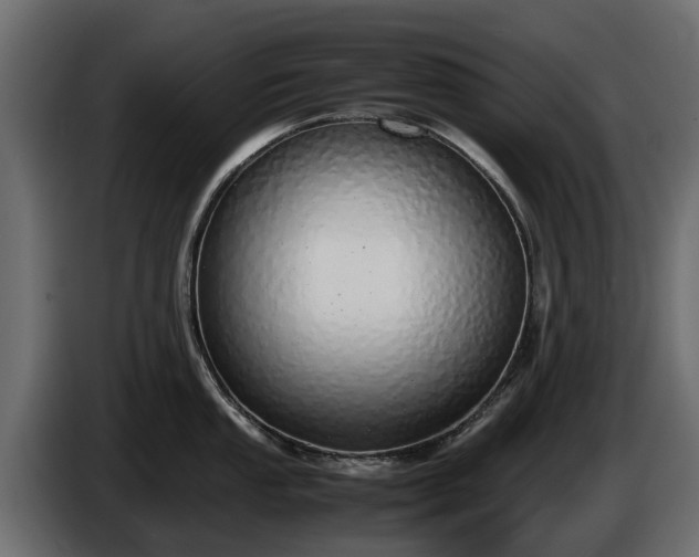 X0000085781053200703231241