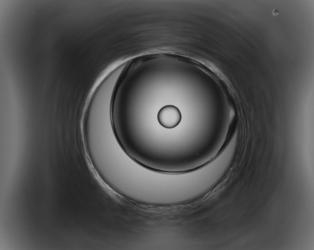 X0000085781054200703231241