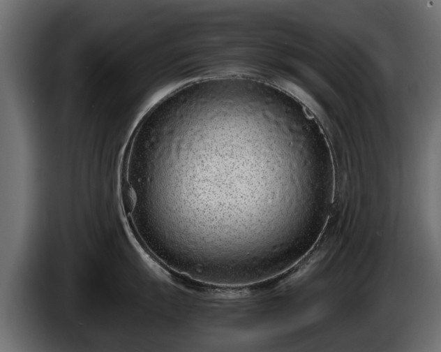 X0000085781055200703231241