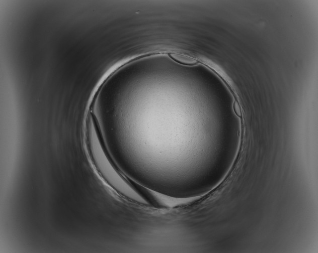 X0000085781056200703231241