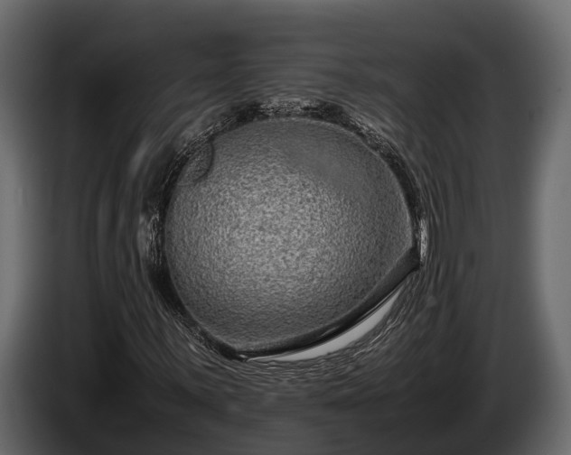 X0000085781059200703231240