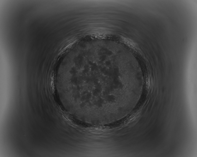 X0000085781060200703231240