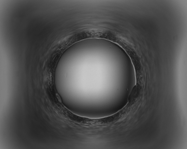 X0000085781061200703231240