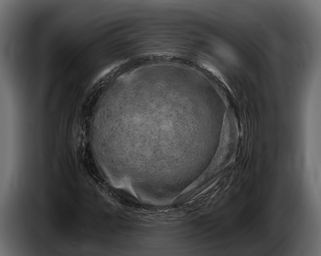 X0000085781064200703231240