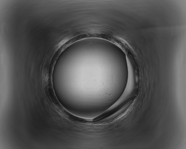 X0000085781065200703231240