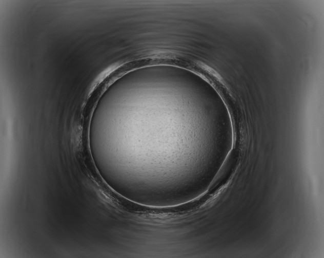 X0000085781066200703231240