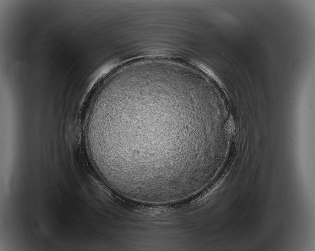 X0000085781067200703231240