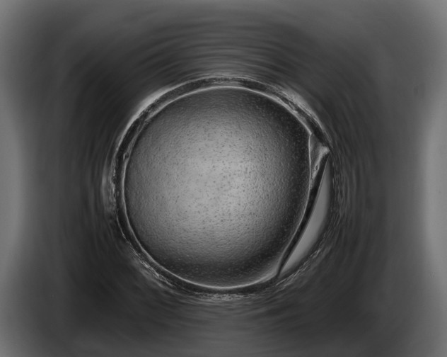 X0000085781068200703231240