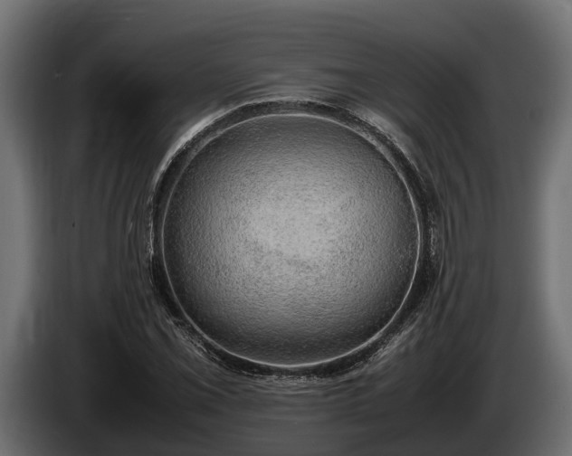 X0000085781069200703231240