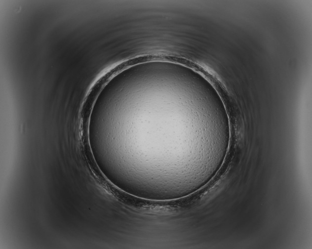 X0000085781070200703231240