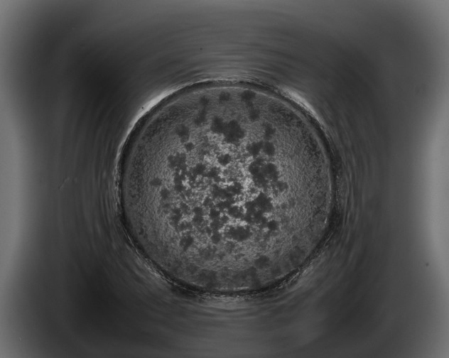 X0000085781071200703231240