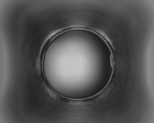 X0000085781072200703231240