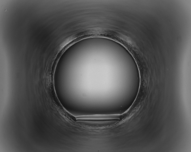 X0000085781073200703231240