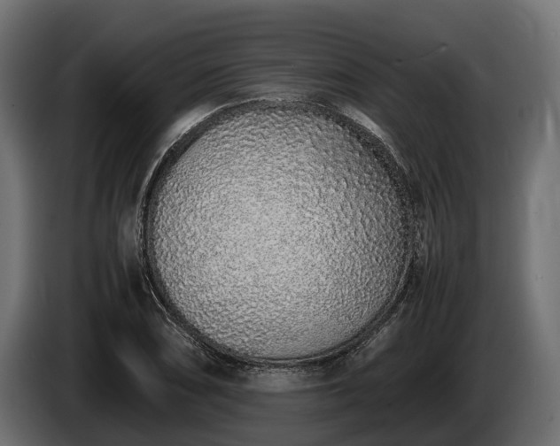 X0000085781074200703231240