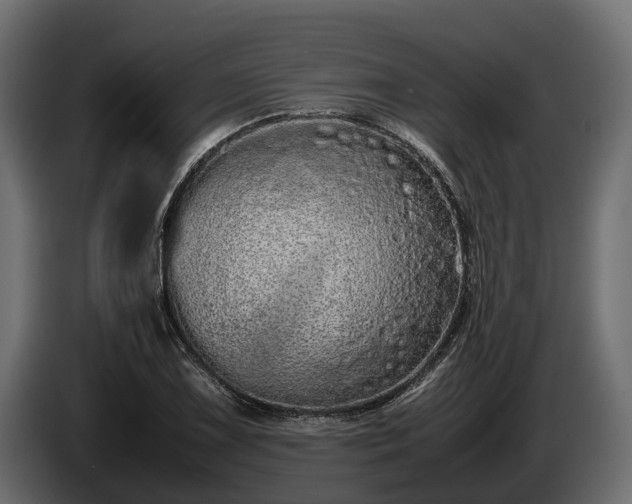 X0000085781075200703231240