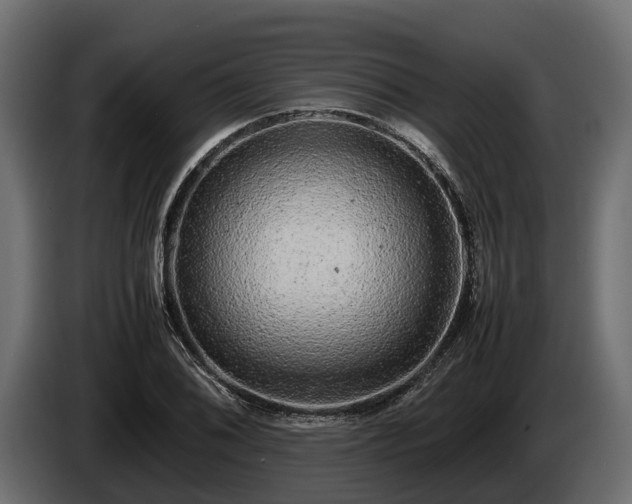 X0000085781076200703231240