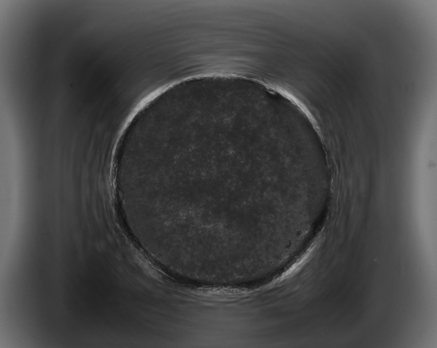 X0000085781077200703231240