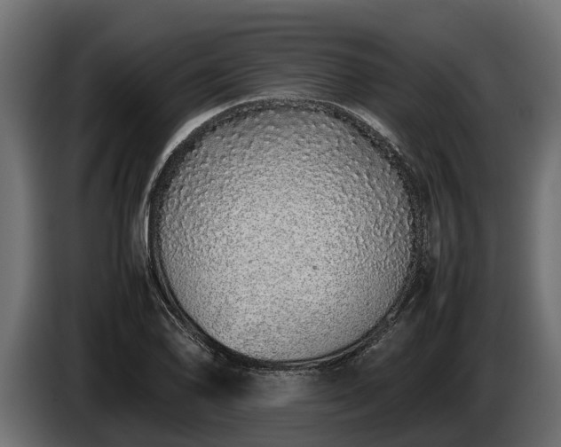 X0000085781078200703231240