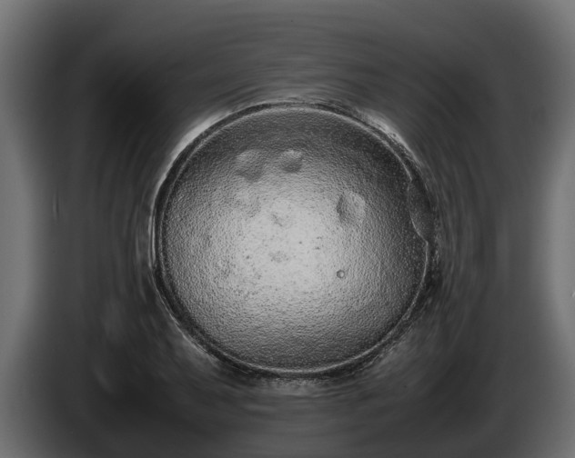 X0000085781079200703231240