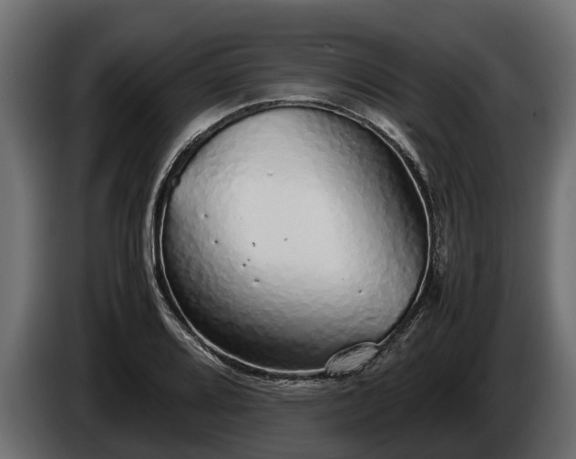 X0000085781080200703231240