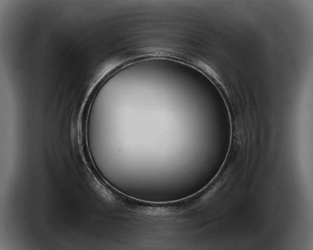 X0000085781082200703231240