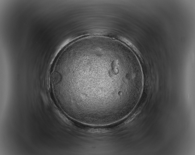 X0000085781083200703231240