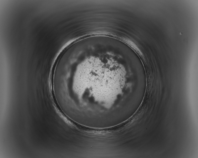 X0000085781084200703231240