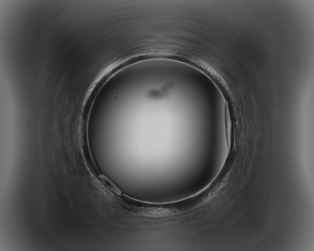 X0000085781085200703231240