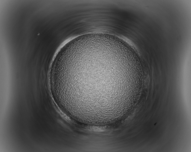 X0000085781086200703231240