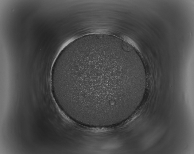 X0000085781087200703231240