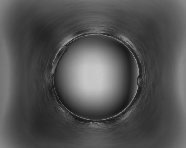 X0000085781089200703231240