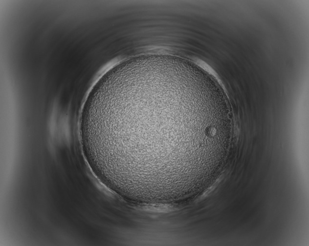 X0000085781090200703231240