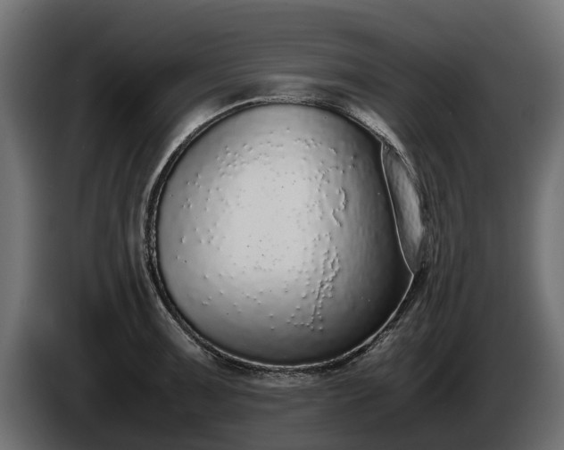 X0000085781091200703231240