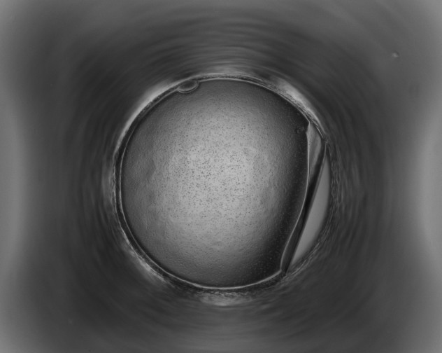 X0000085781092200703231240