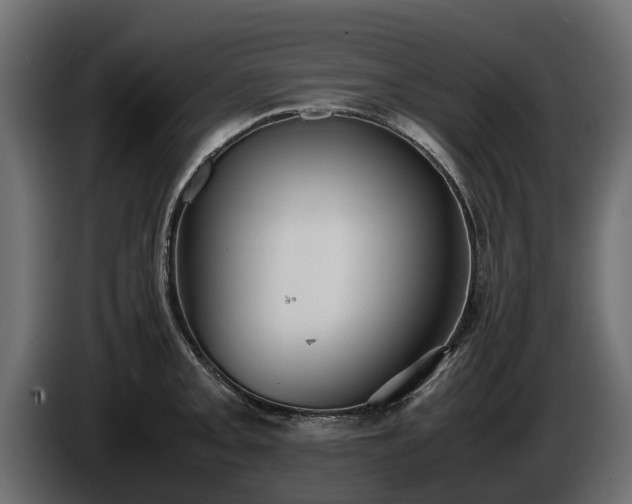 X0000085781093200703231240