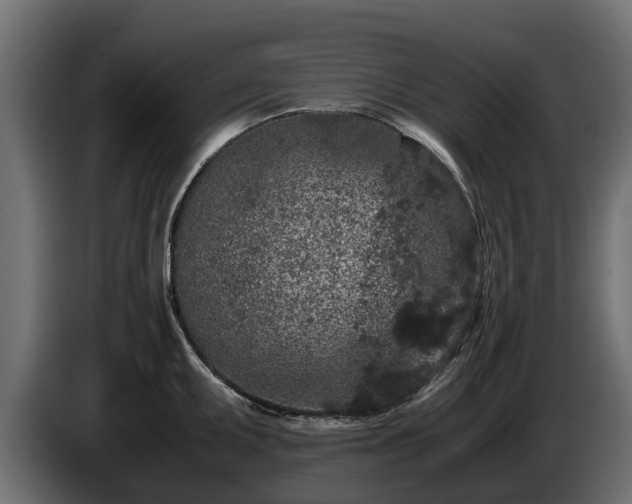 X0000085781095200703231240