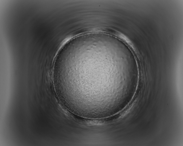 X0000085781097200703231240