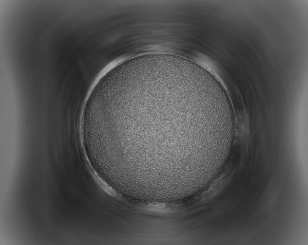 X0000085781098200703231240